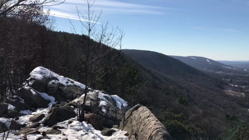 Wawayanda State Park - Hewitt, NJ