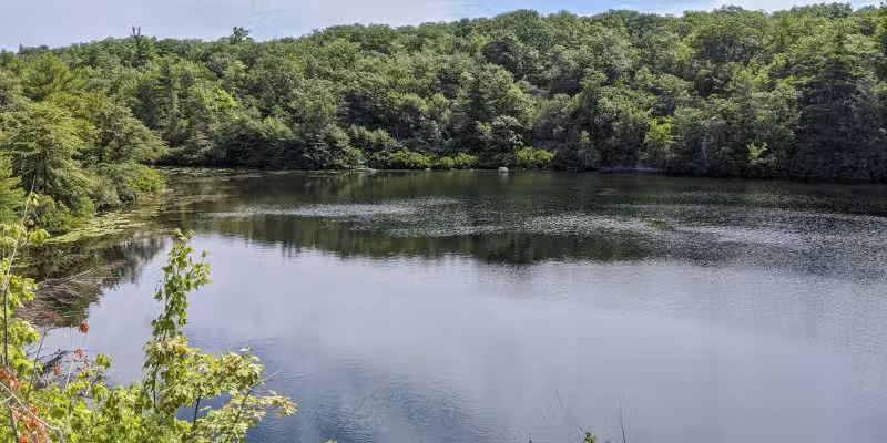 Wawayanda State Park - Hewitt, NJ