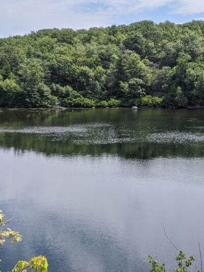 Wawayanda State Park - Hewitt, NJ