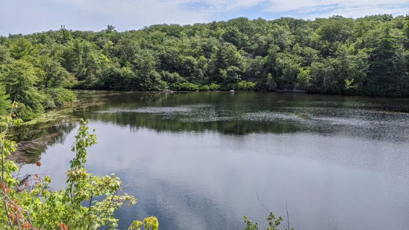 Wawayanda State Park - Hewitt, NJ