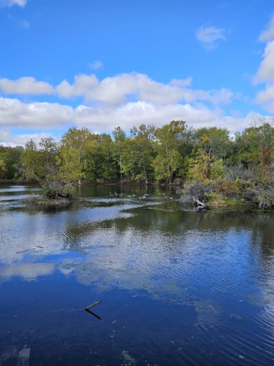 Heyworth Centennial Park - Heyworth, IL