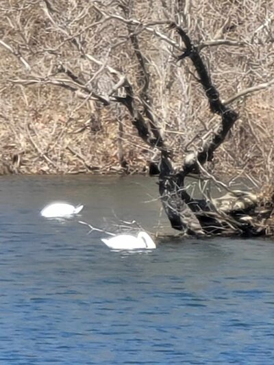 Heyworth Centennial Park - Heyworth, IL