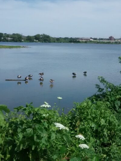 Cedar Valley Nature Trail - Hiawatha, IA