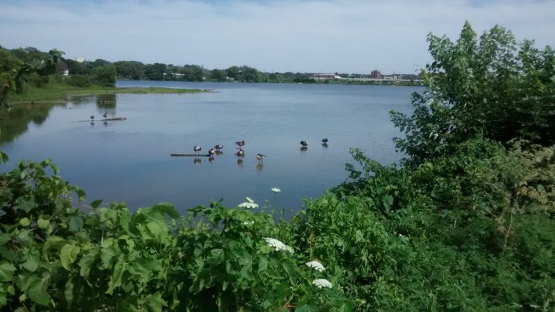 Cedar Valley Nature Trail - Hiawatha, IA