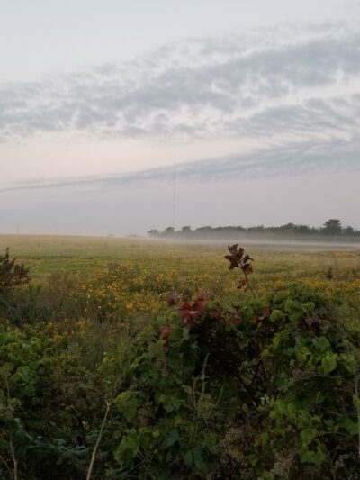 Cedar Valley Nature Trail - Hiawatha, IA