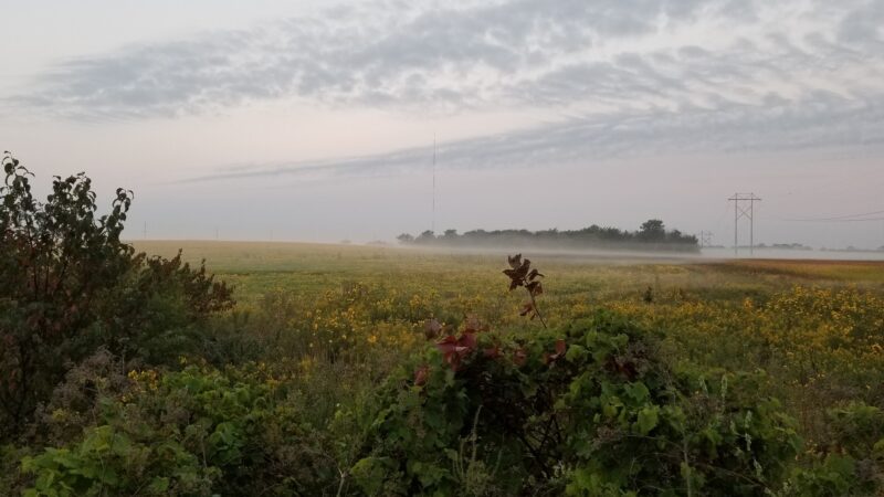 Cedar Valley Nature Trail - Hiawatha, IA