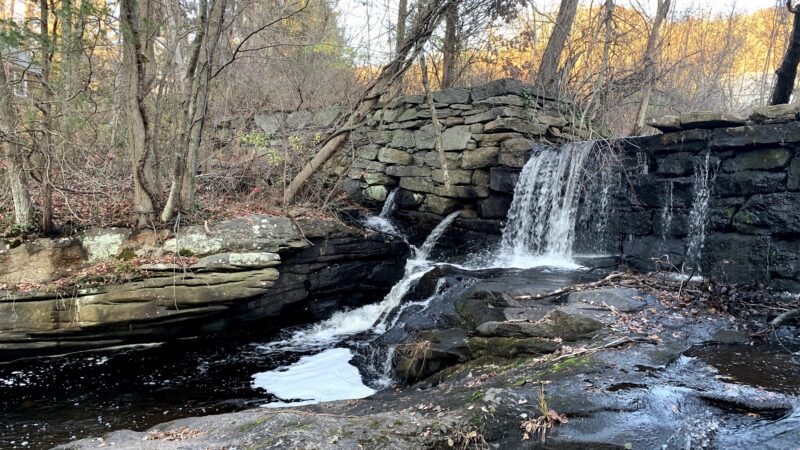 Higganum Reservoir State Park - Higganum, CT