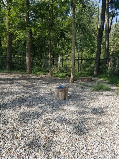 High Bridge Dog Park - High Bridge, NJ