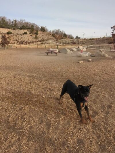 Dog park - Highland, CA