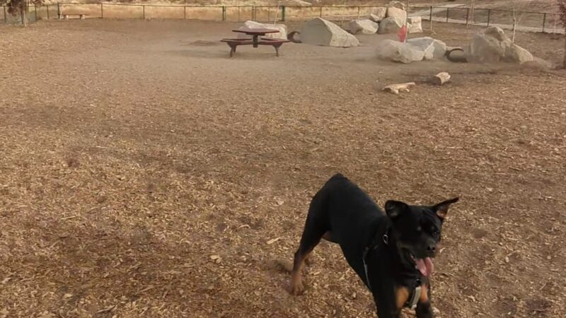 Dog park - Highland, CA