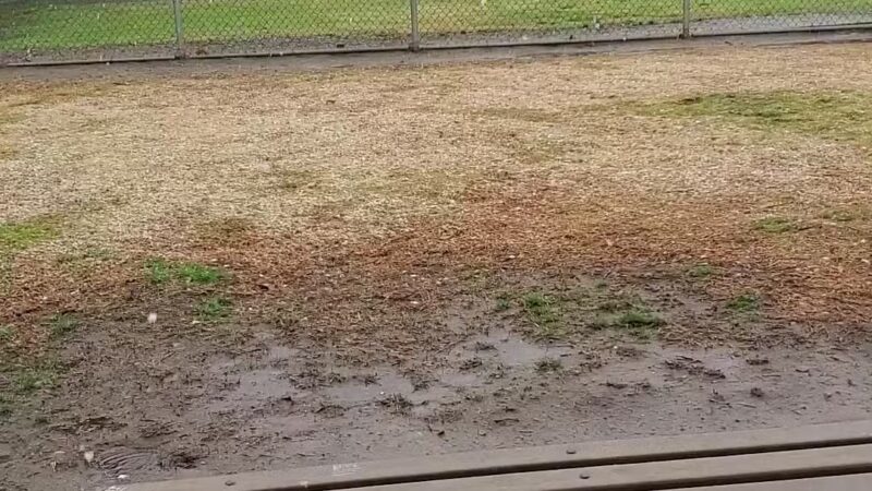 Dog park - Highland, CA