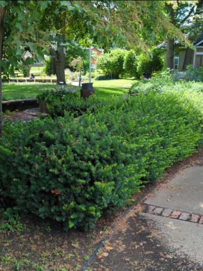 Degginger park - Highland, KS