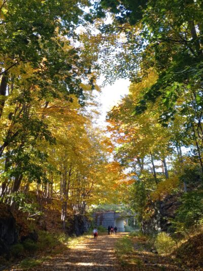 Hudson Valley Rail Trail - Highland, NY