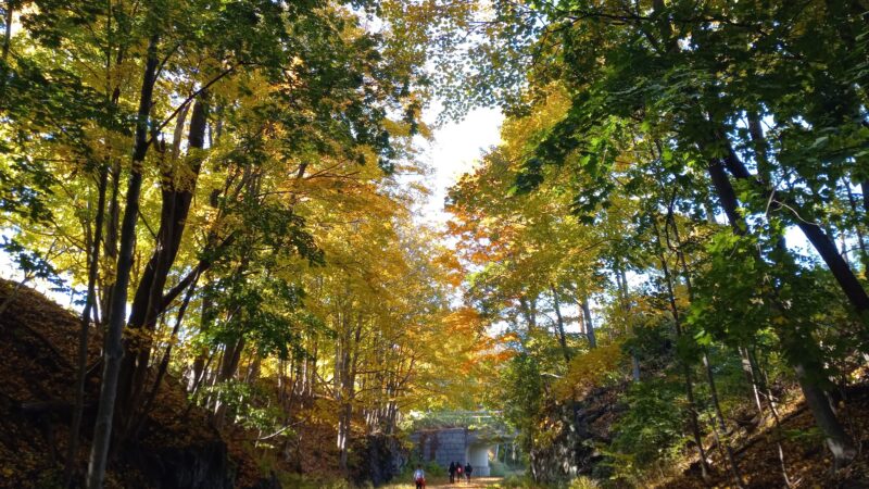 Hudson Valley Rail Trail - Highland, NY