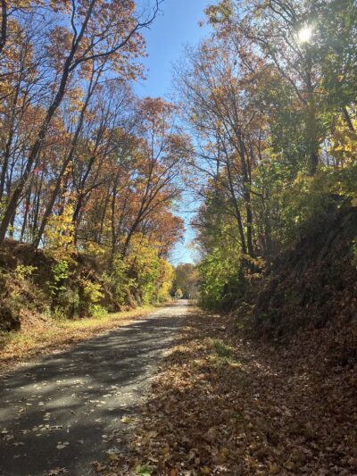 Hudson Valley Rail Trail - Highland, NY