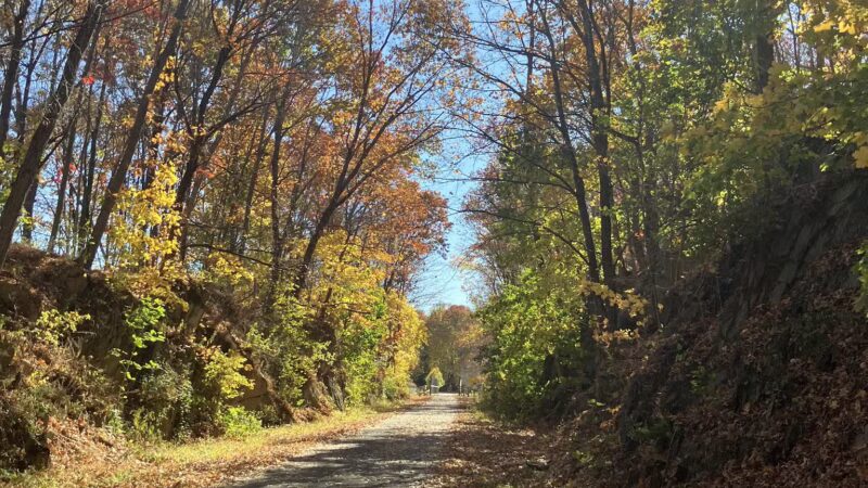 Hudson Valley Rail Trail - Highland, NY
