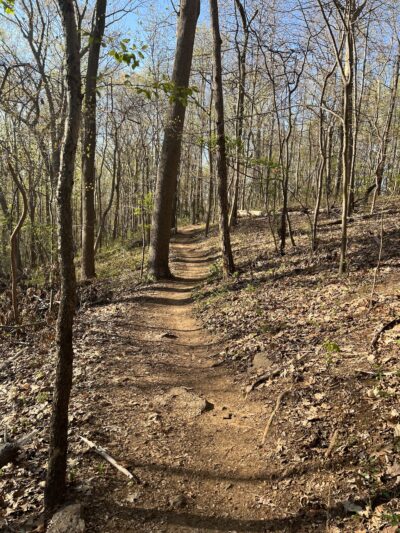 Hartshorne Woods Park - Highlands, NJ