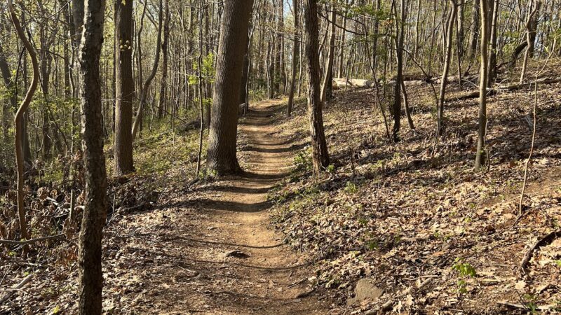 Hartshorne Woods Park - Highlands, NJ