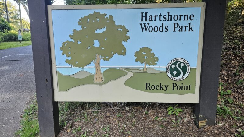 Hartshorne Woods Park - Highlands, NJ