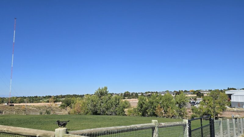 David Lorenz Dog Park - Highlands Ranch, CO