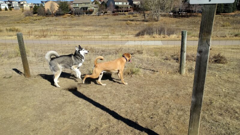 Digger's at Dad Clark Park - Highlands Ranch, CO
