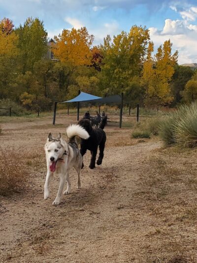 Digger's at Dad Clark Park - Highlands Ranch, CO