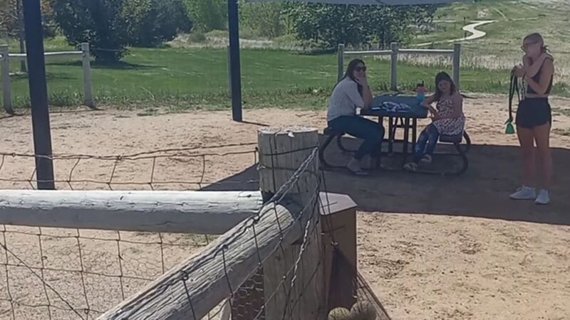 Digger's at Dad Clark Park - Highlands Ranch, CO