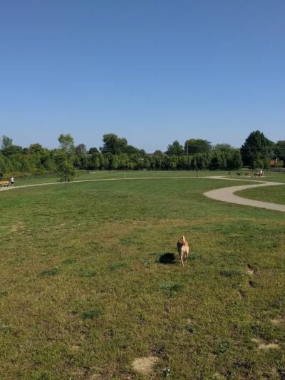 Spindler Dog Park - Hilliard, OH