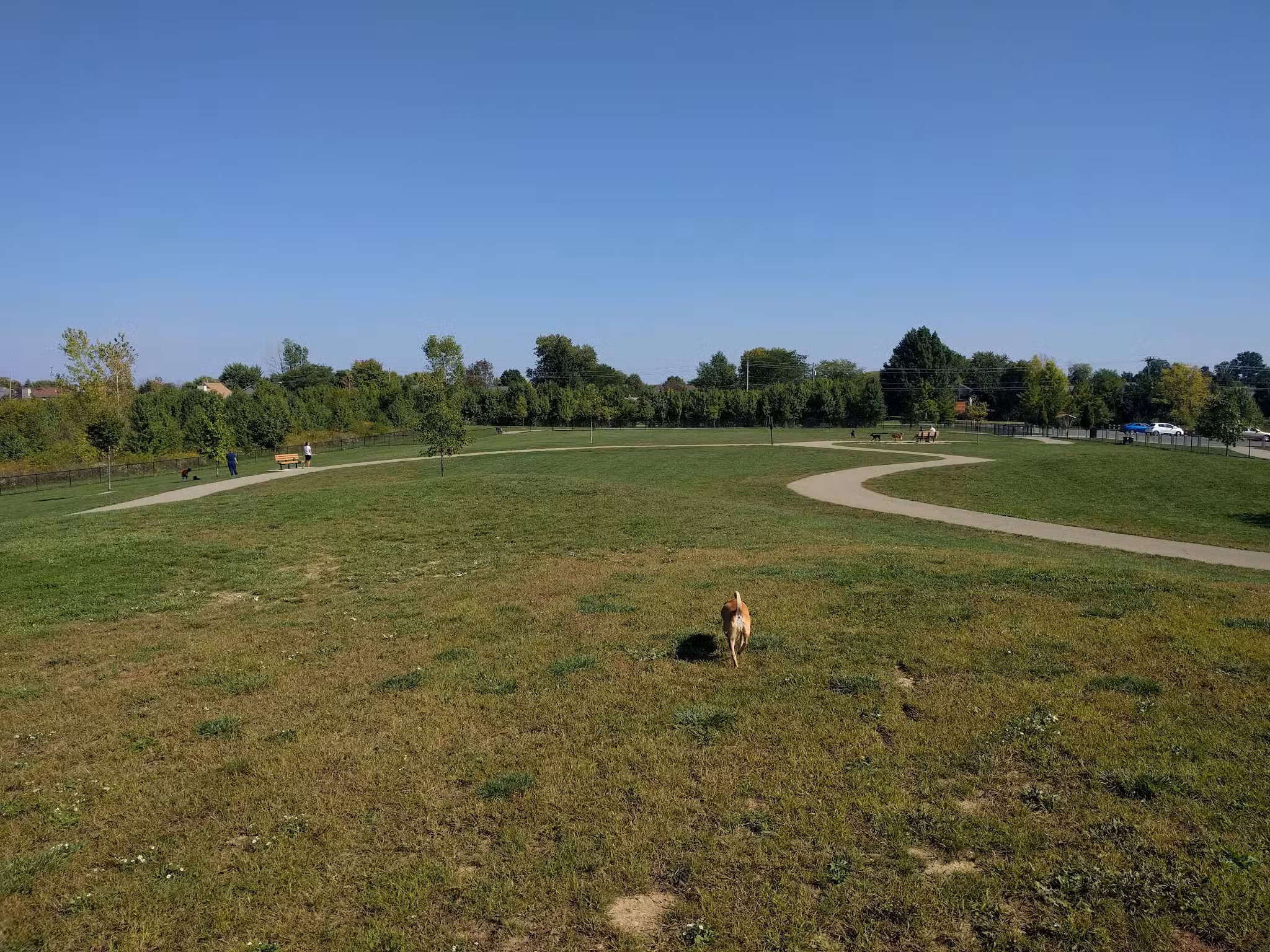 Spindler Dog Park - Hilliard, OH