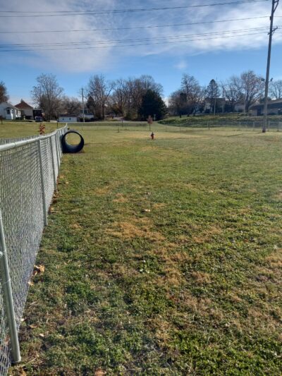 Dog Park - Hillsboro, IL