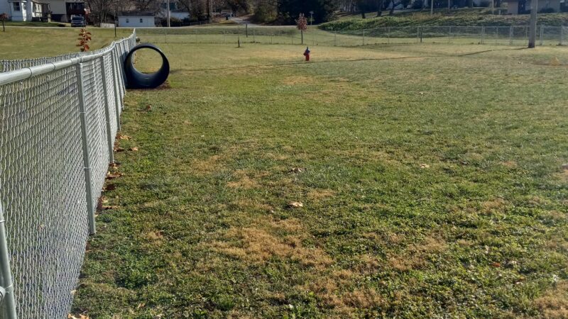 Dog Park - Hillsboro, IL