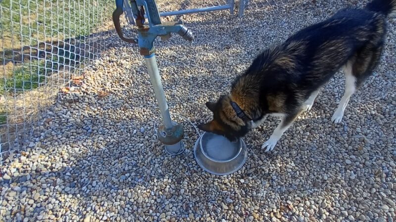 Dog Park - Hillsboro, IL