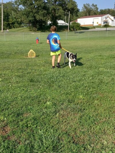 Dog Park - Hillsboro, IL