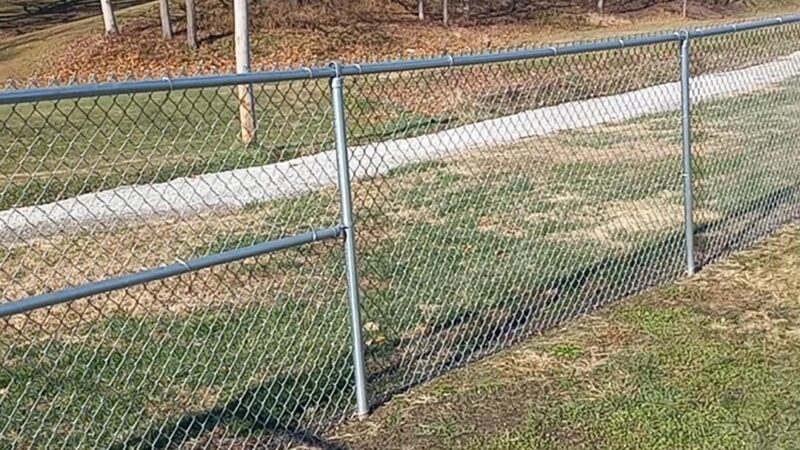 Dog Park - Hillsboro, IL