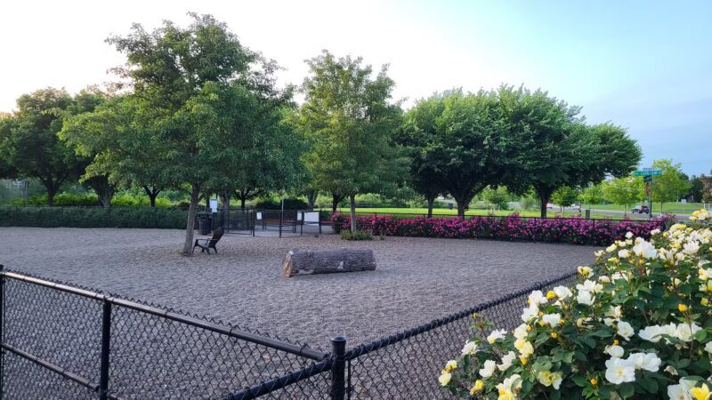 Cornell Creek Dog Park - Hillsboro, OR