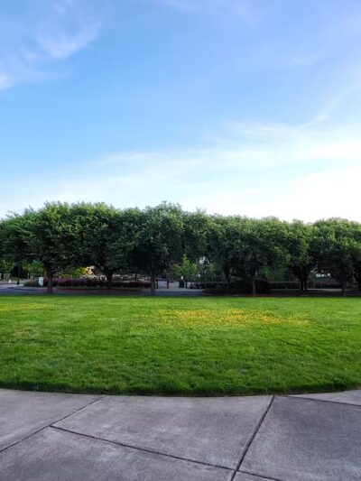Cornell Creek Dog Park - Hillsboro, OR