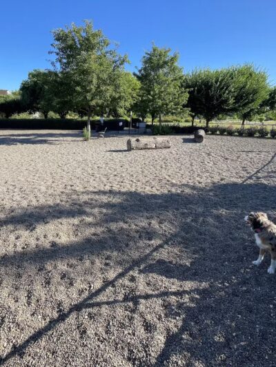 Cornell Creek Dog Park - Hillsboro, OR