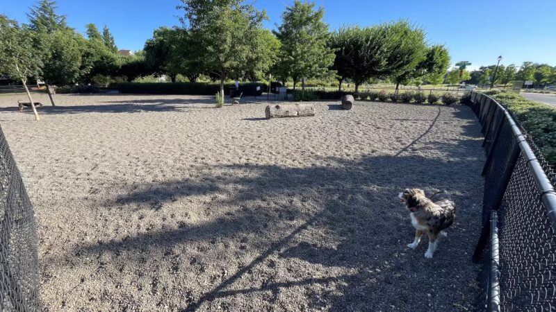 Cornell Creek Dog Park - Hillsboro, OR