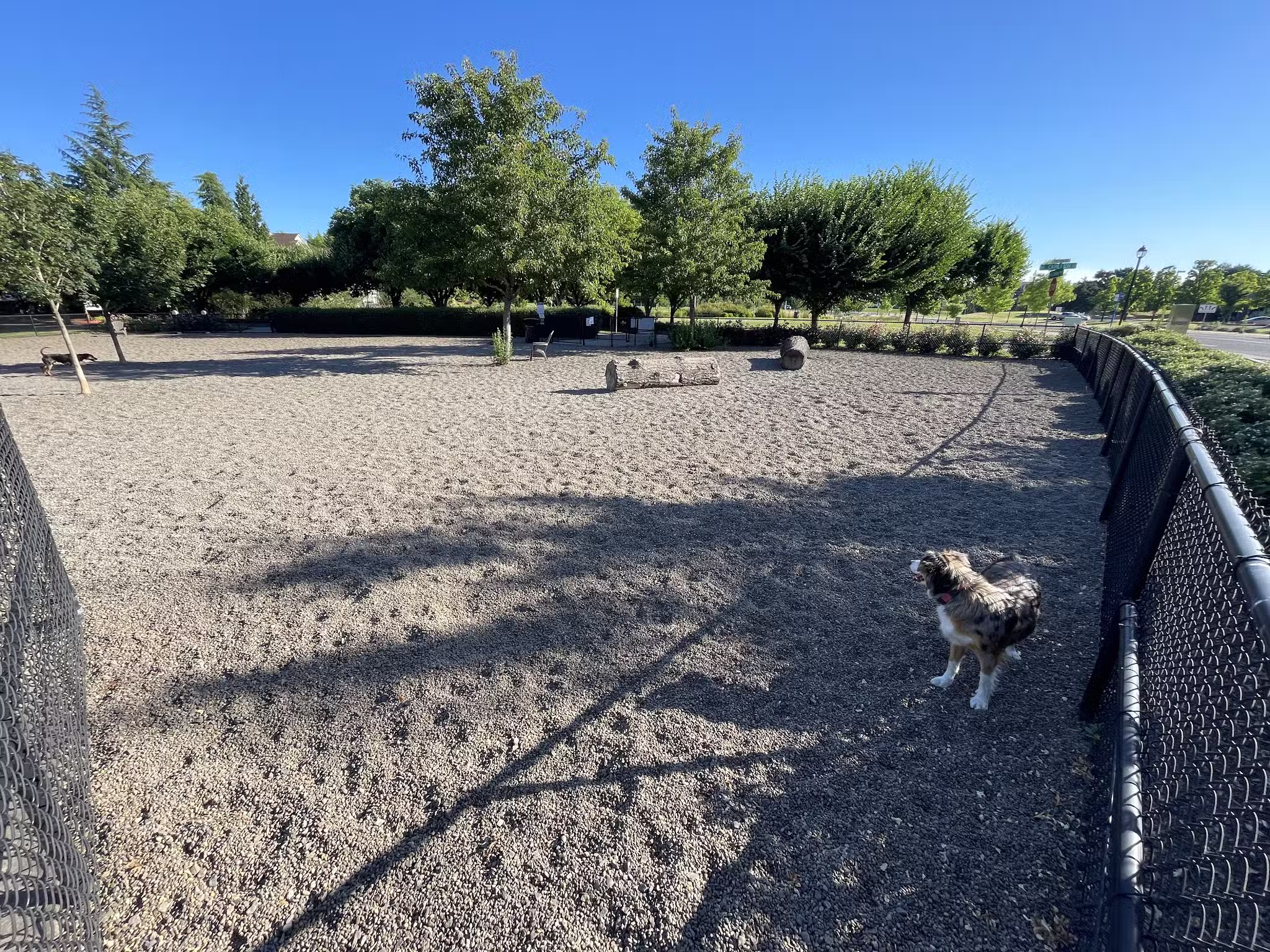Cornell Creek Dog Park - Hillsboro, OR