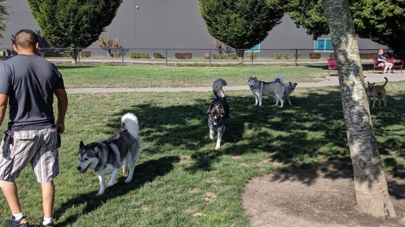 Hondo Dog Park - Hillsboro, OR