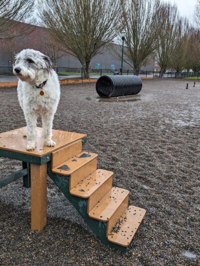 Hondo Dog Park - Hillsboro, OR