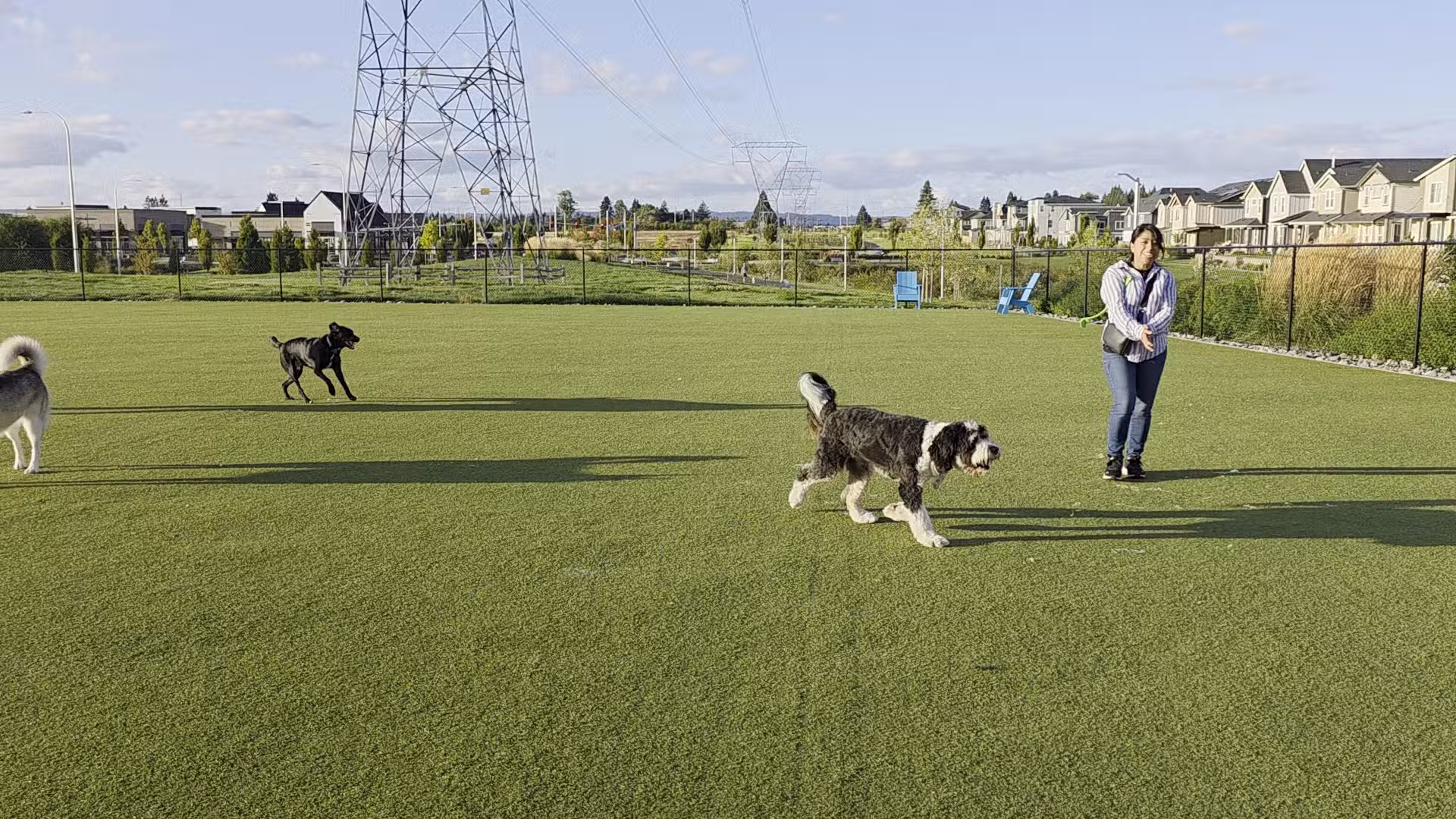Reed’s Crossing Dog Park - Hillsboro, OR