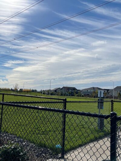 Reed’s Crossing Dog Park - Hillsboro, OR