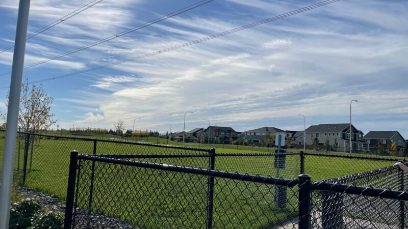 Reed’s Crossing Dog Park - Hillsboro, OR