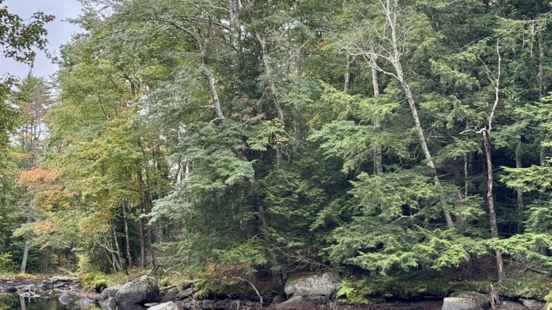 Beard Brook Park - Hillsborough, NH