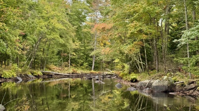 Beard Brook Park - Hillsborough, NH