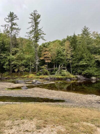 Beard Brook Park - Hillsborough, NH
