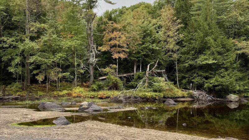 Beard Brook Park - Hillsborough, NH