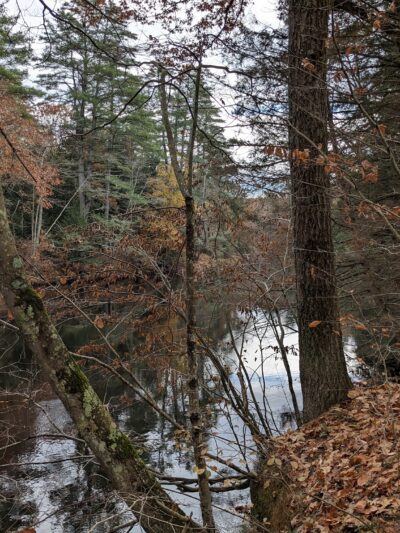 Contoocook River Walk - Hillsborough, NH