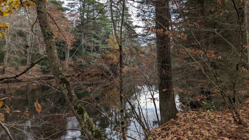 Contoocook River Walk - Hillsborough, NH